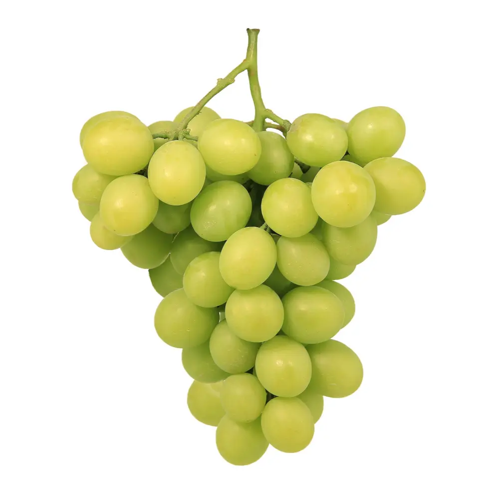 Nho Xanh Không Hạt Úc - AutumnCrisp - Australian Green Seedless Grapes - FRUITICO